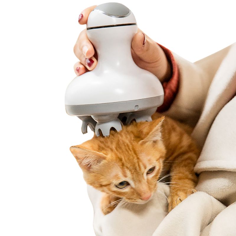 Portable Electric Head Massager for Cats